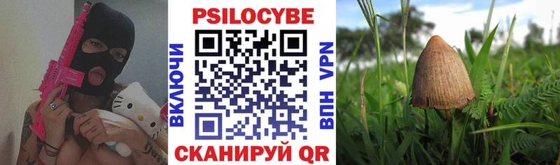 Галлюциногенные грибы Psilocybine cubensis  наркошоп  Сергач 
